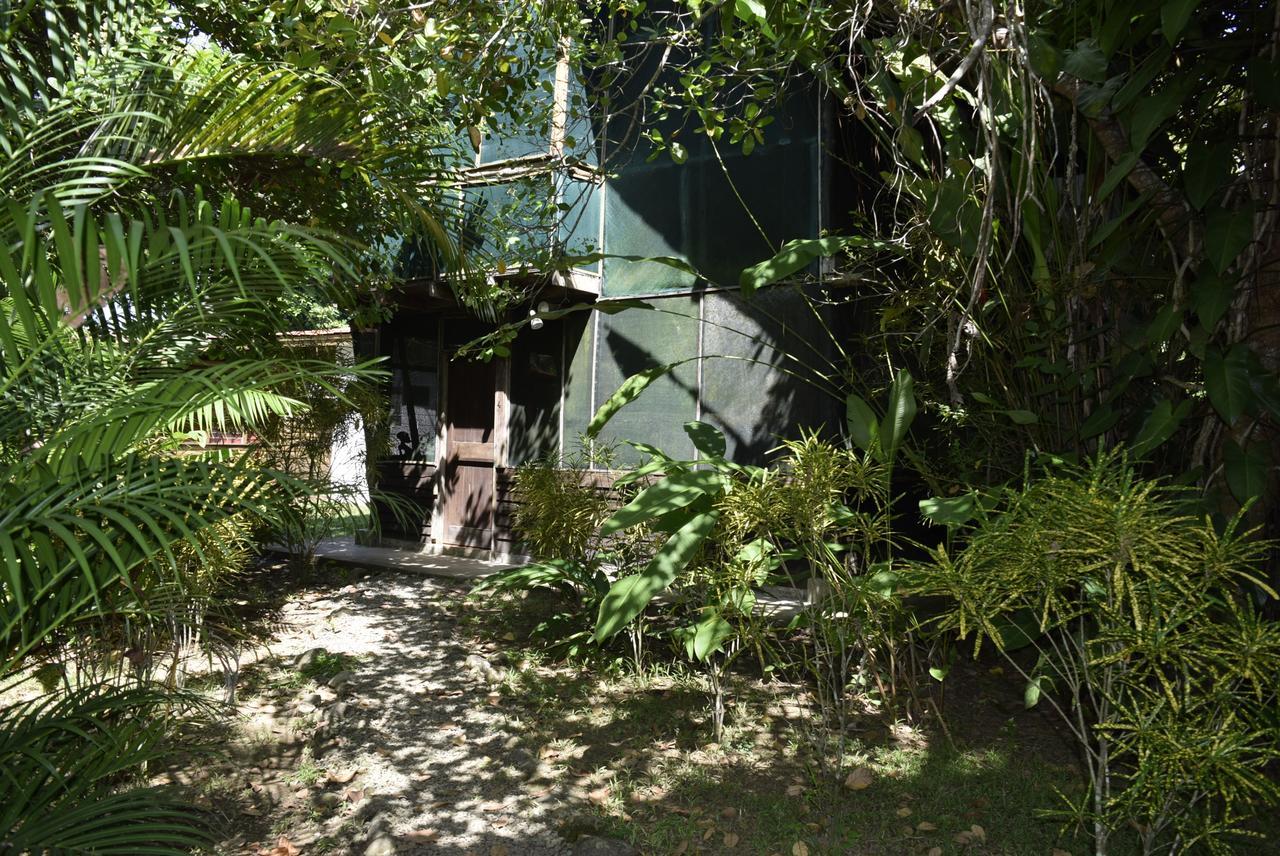 Villas Maria Luisa Uvita Buitenkant foto
